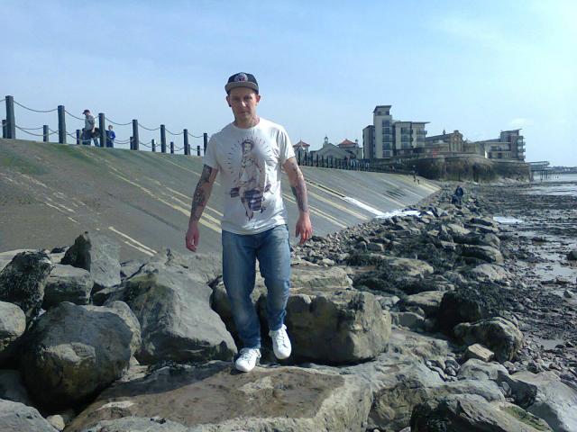 Wpis rysiul