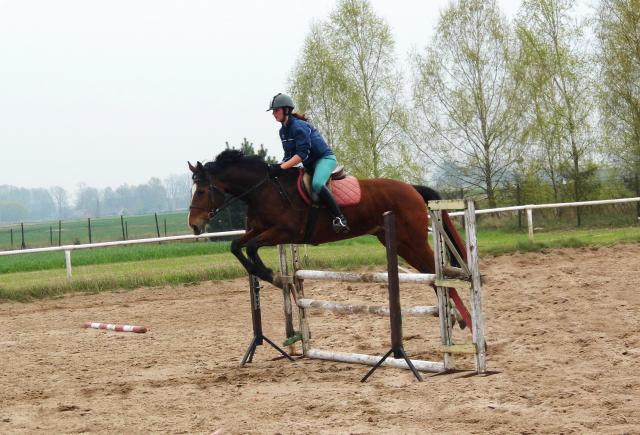 Wpis horsesthink