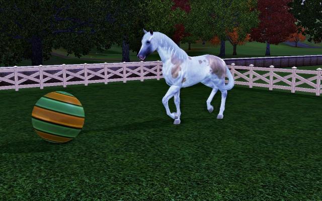 Wpis simsconnelly