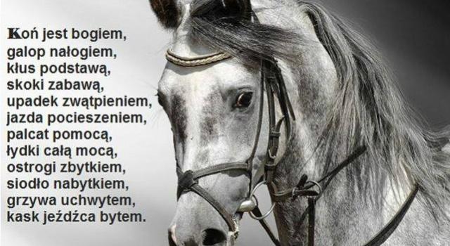 Wpis zajebistasweet