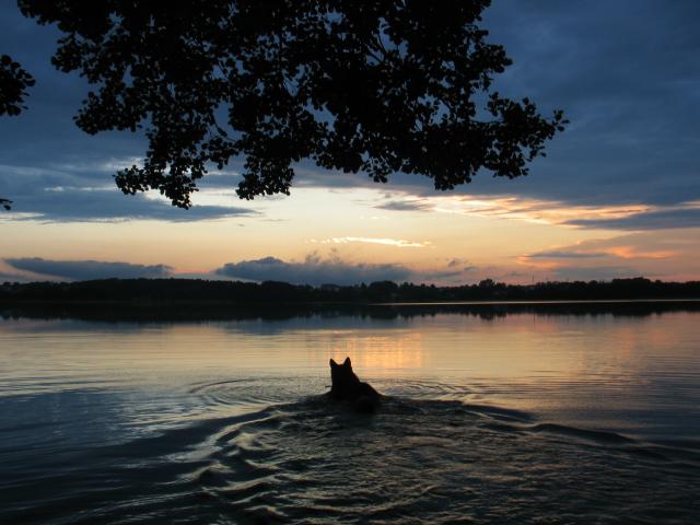 Un paseo a orillas del lago.