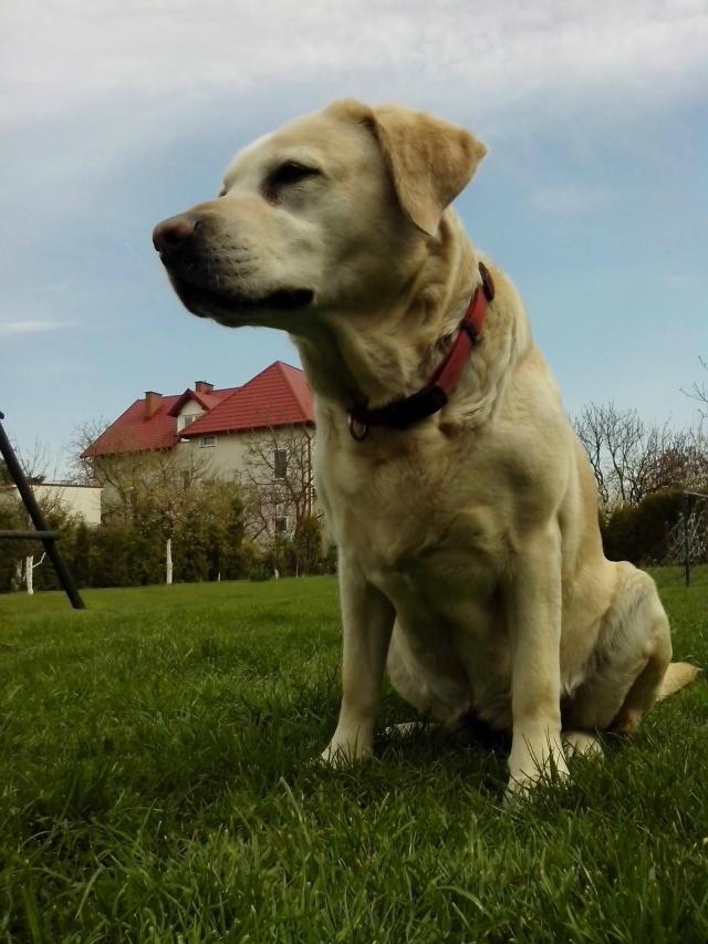 Lunka