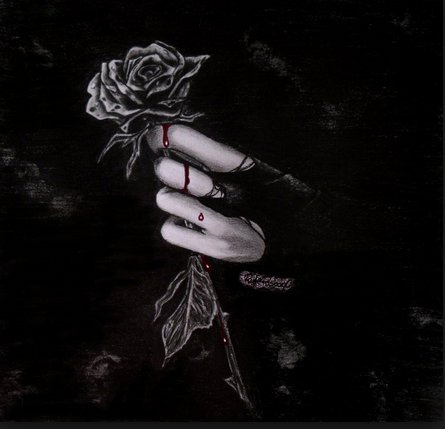 Black Rose For Bad Day