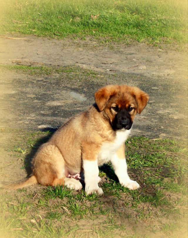 oooooojej ^,^