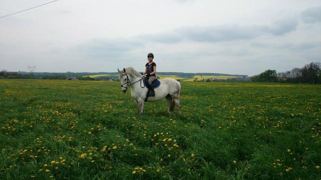 Torni :)