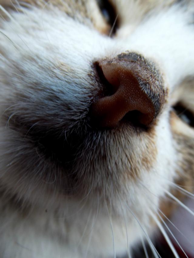 9.