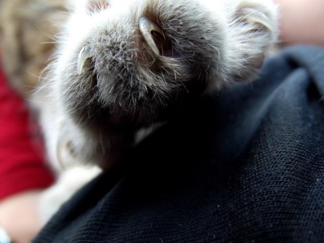 11.