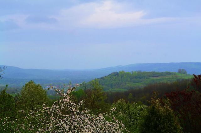 Wpis jedrzejowy