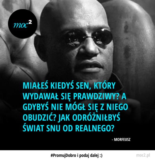 Wpis xwiemxzexnicxniexwiemx