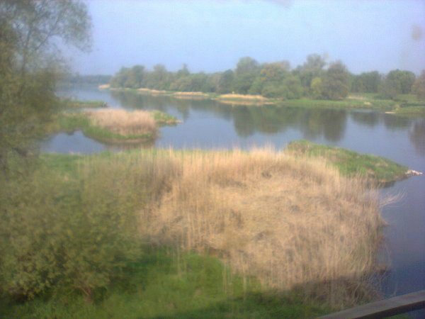 Odra