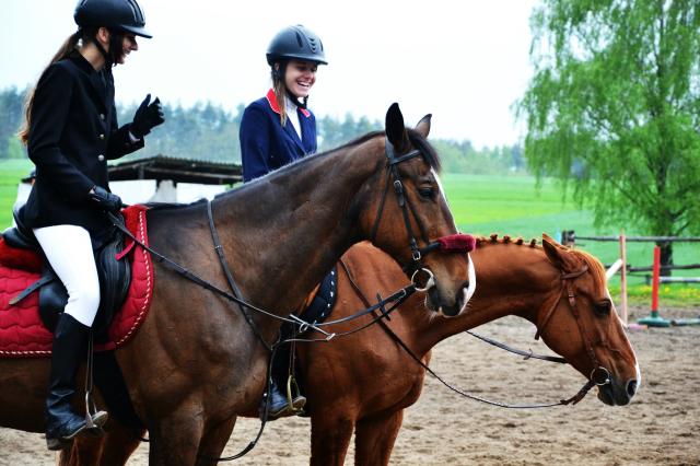 Wpis horsemember