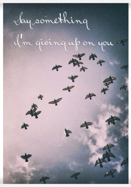 Say something..