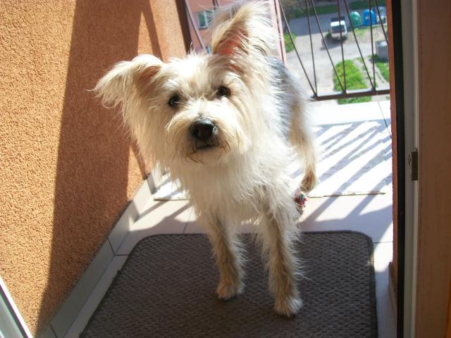 Roki *: