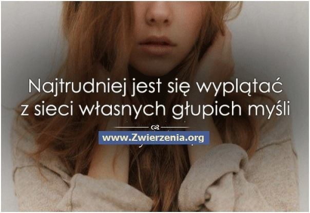 Wpis martynxxx