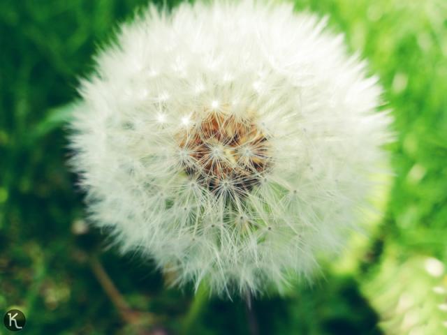 hello may