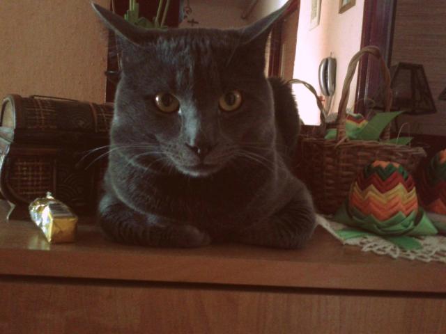 Wpis okruchowaxd
