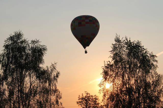 Balony
