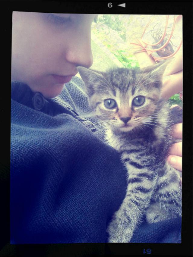 Tooecekk Mryryr; )