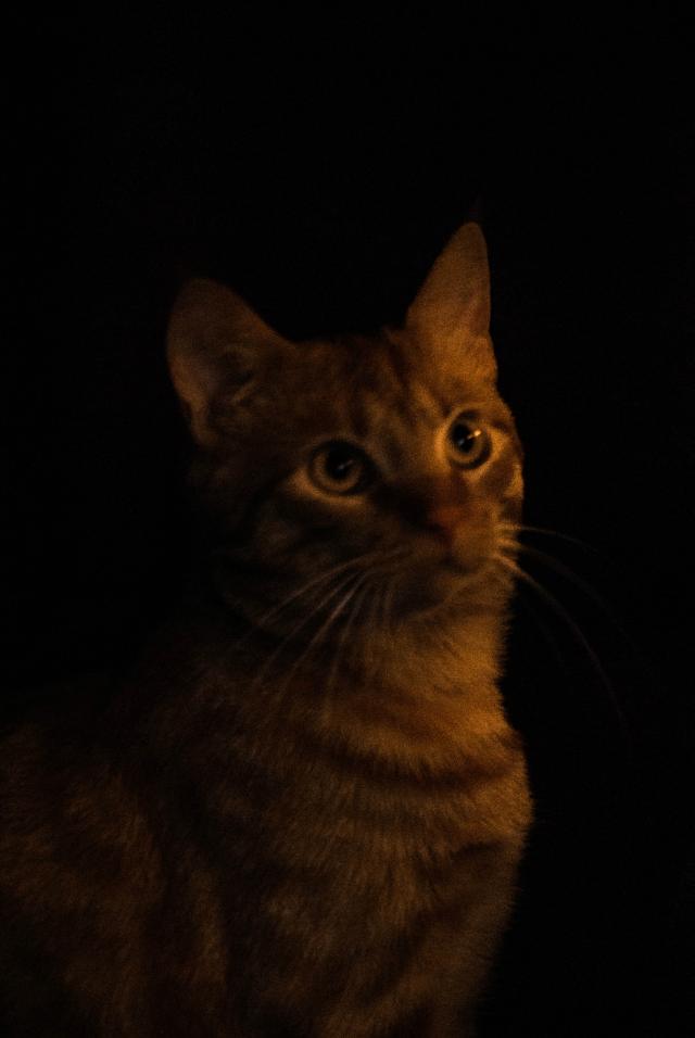 Zabawa w fotografa