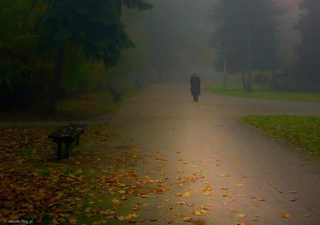Do zobaczenia Dziadku.