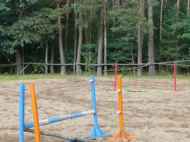 pierwsze skoki Amanta *.*