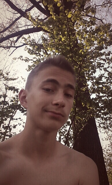 Wpis vajdzik