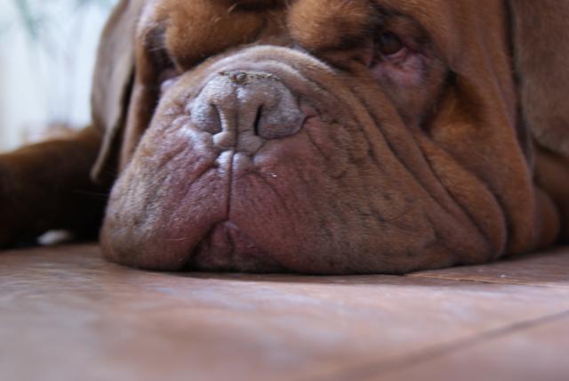 Zzz...