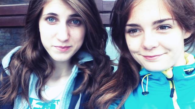 Wpis bigzecik