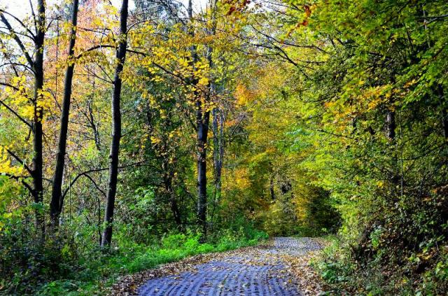 Autumn.