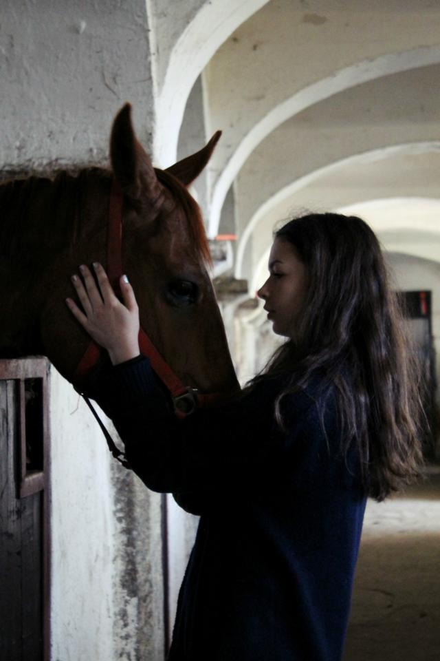 Wpis curiouslover