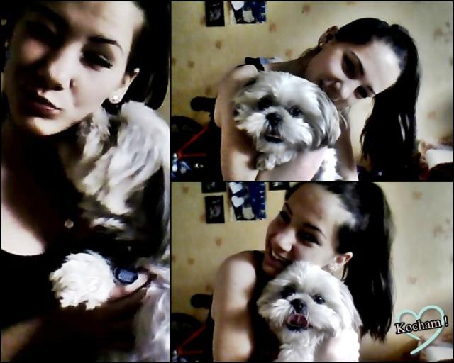 Wpis semprefresco