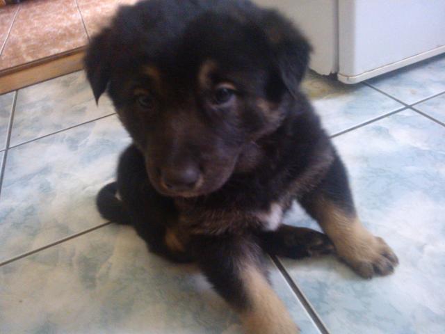 Wpis ooolciaa
