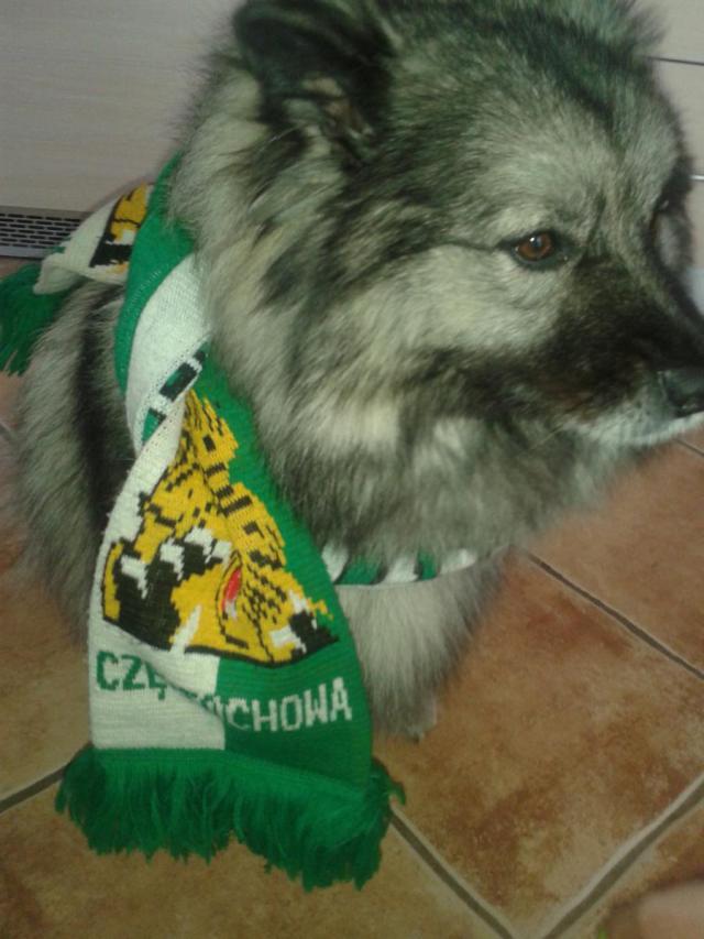 Wpis myszkaaamini