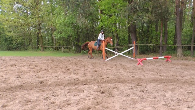 Wpis horsemember