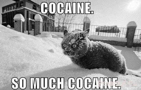 Coca/Amfa/Mefa