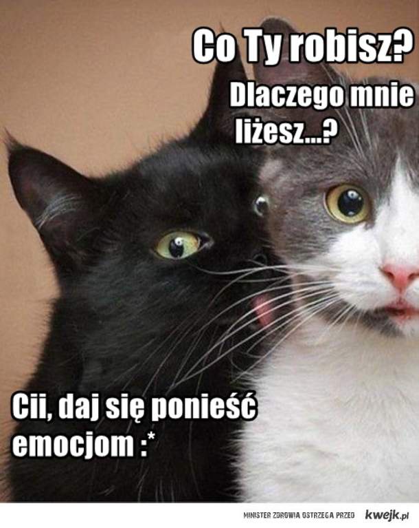 kiss my lips