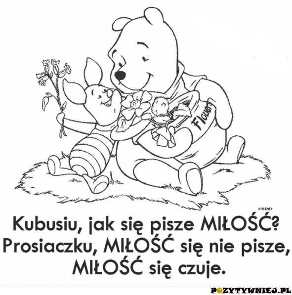 Wpis fiduciaaa