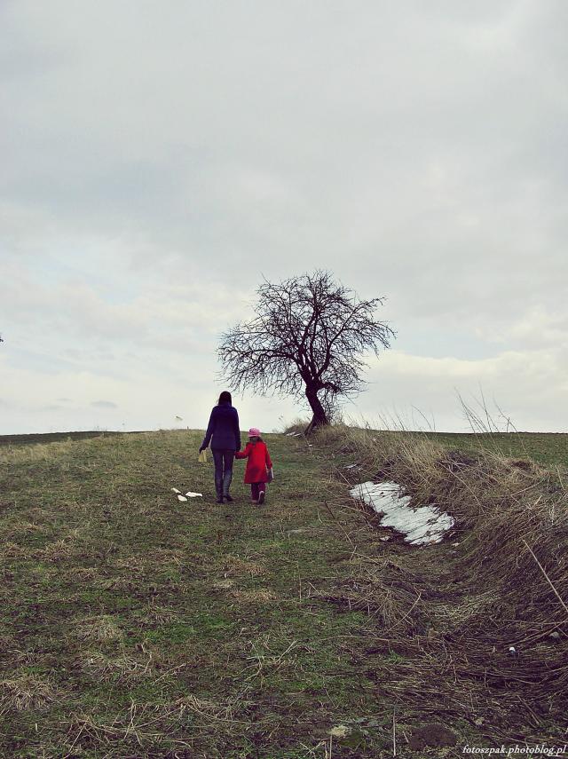 Road