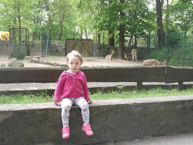 Wpis miejodwage