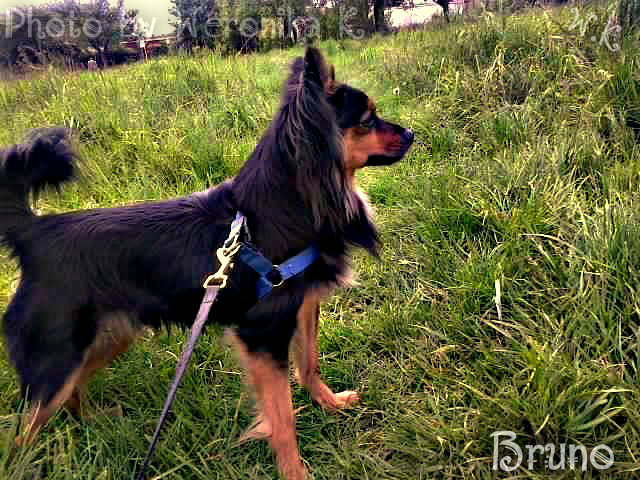 Wpis brunophotoblog