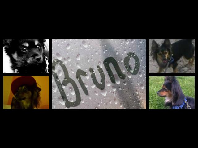 Wpis brunophotoblog