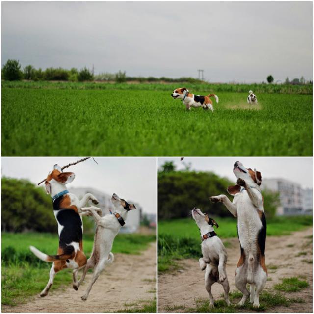 holly&tobi 