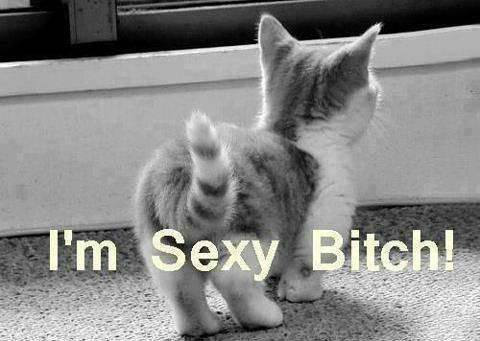 Bitch ! :) 