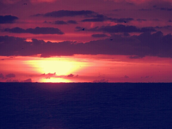 Wpis diepolnischephoto