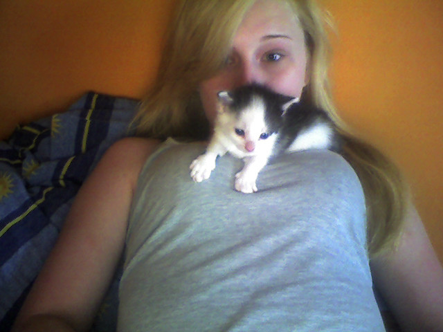 kooooteel