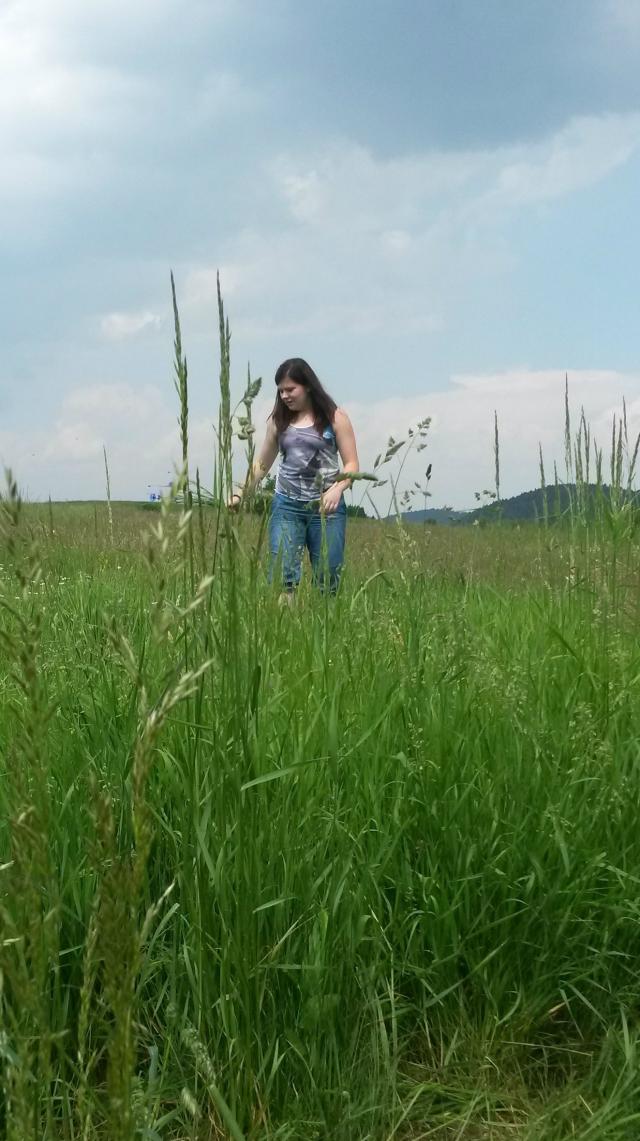 Wpis monna4