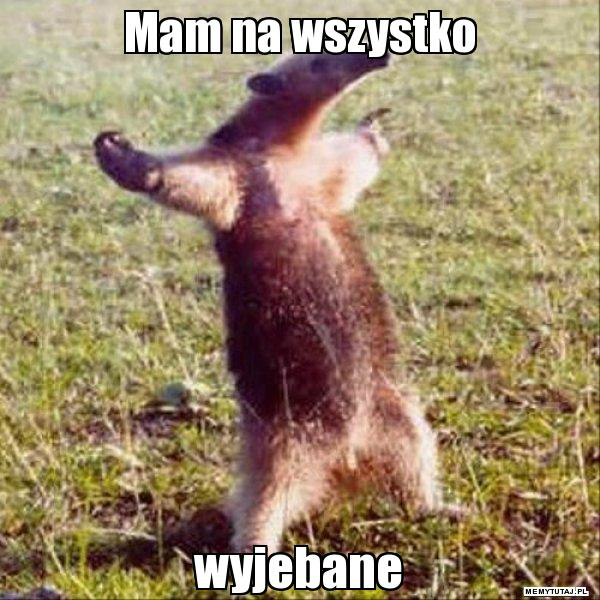 Tak wanie