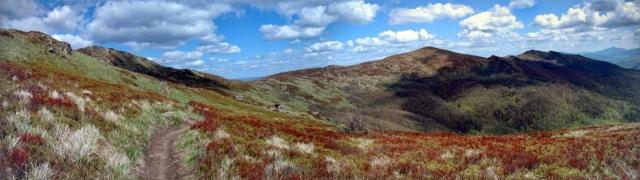 Bieszczady,  Halicz