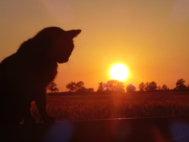 Grymbo :) 