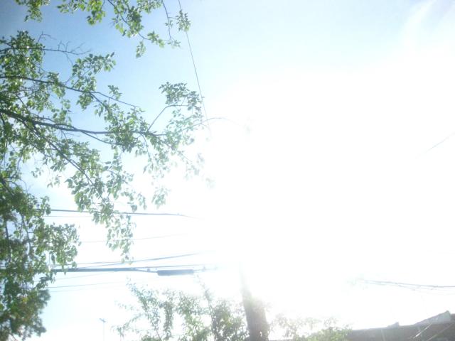 sunbather